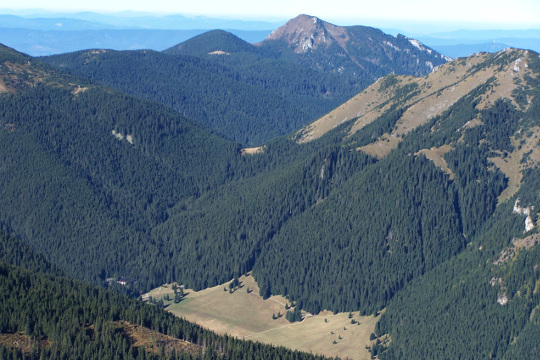 Chocholowska Valley