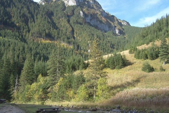 Koscieliska Valley